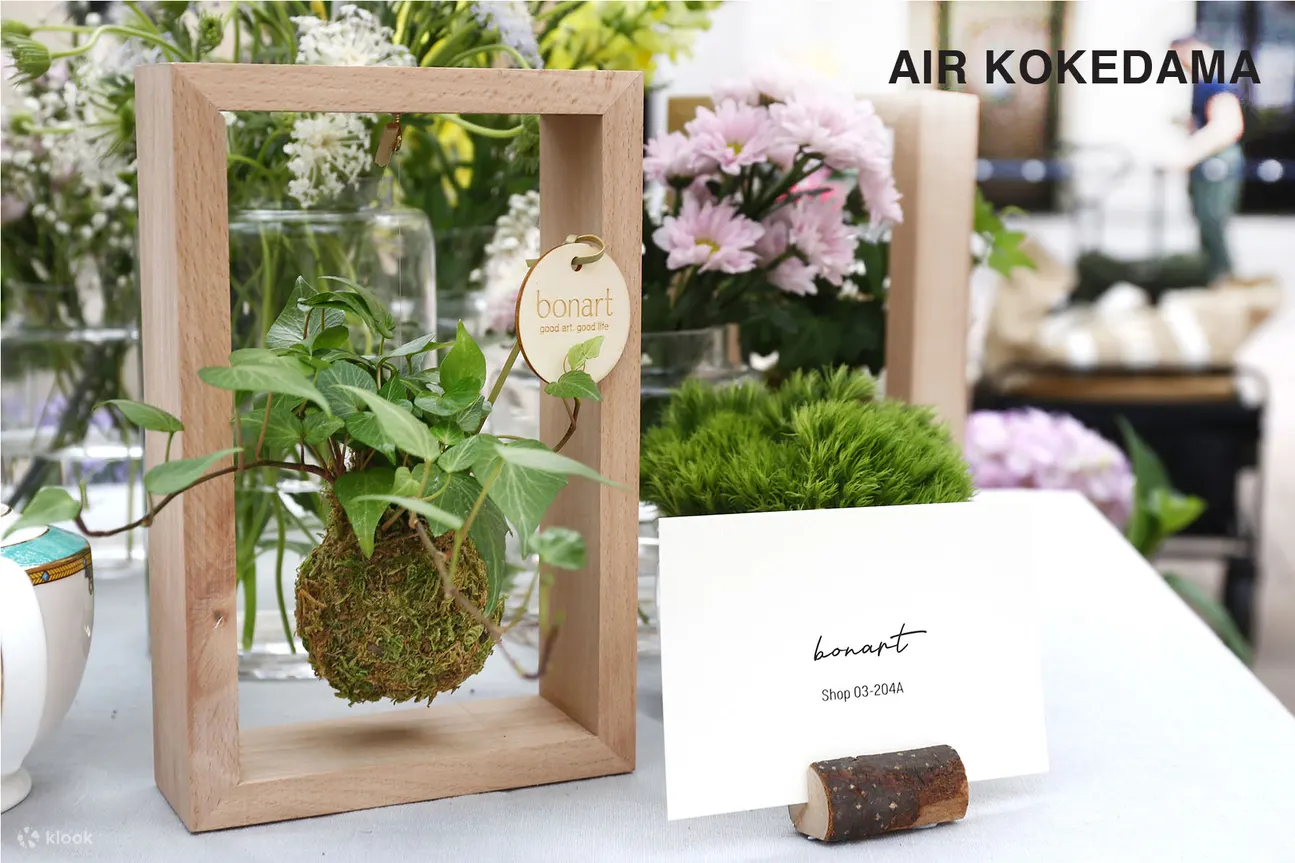 Bonart - 青苔生态盆景 | 多肉植物盆景 | 苔玉 | 板植蕨类 | 中环大馆